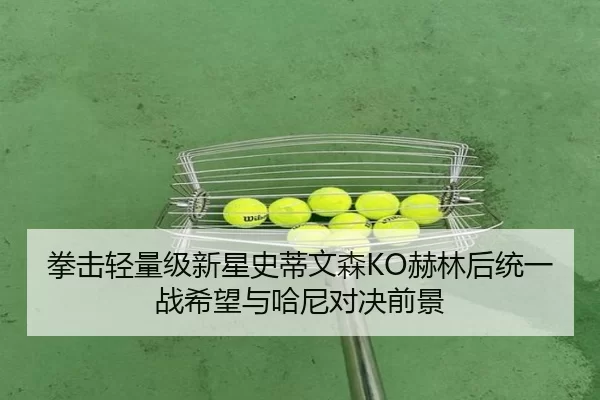 拳击轻量级新星史蒂文森KO赫林后统一战希望与哈尼对决前景