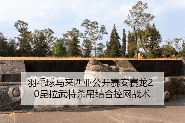 yu-mao-qiu-ma-lai-xi-ya-gong-kai-sai-an-sai-long-kun-la-wu-te-sha-diao-jie-he-kong-wang-zhan-shu-3-895.jpg